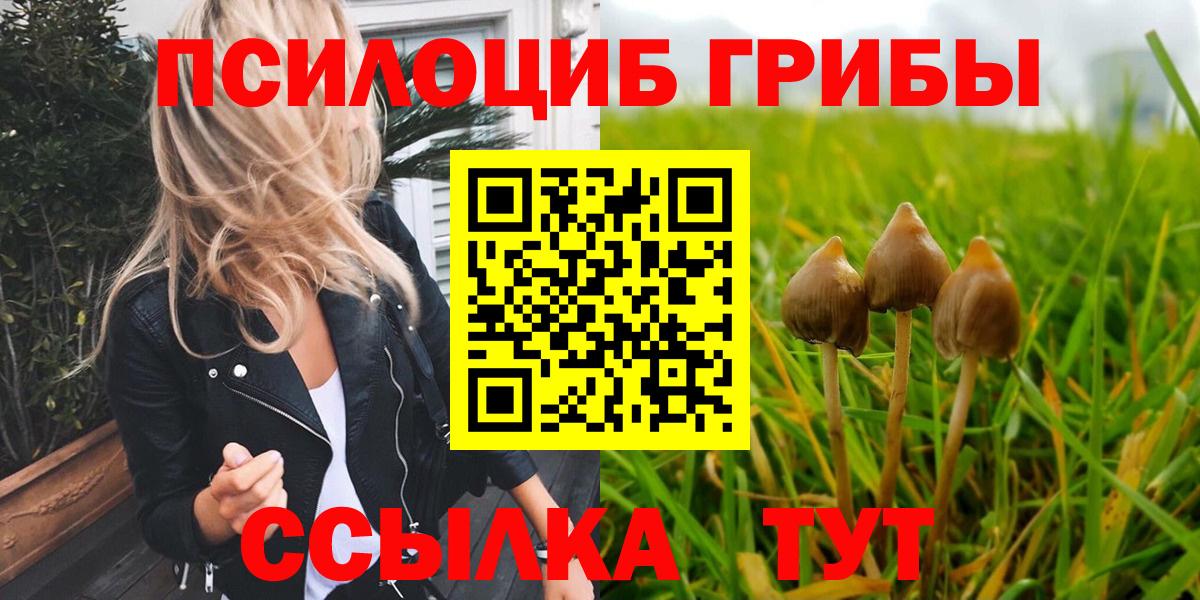 Гусев  Галлюциногенные грибы Psilocybe  Вход с VPN  Псилоцибиновые грибы мухоморы 