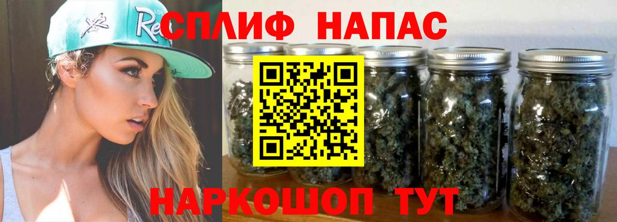 Бошки марихуана планчик  Канабис индика  Канабис White Widow  Канабис ГИДРОПОН  Гусев  Вход с VPN 
