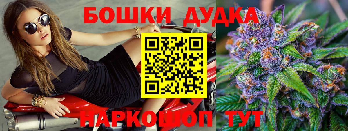 Конопля планчик Гусев